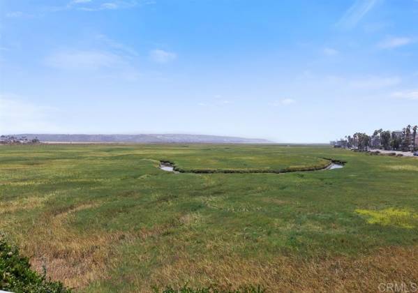 This is the Tijuana River National Estuarine Reserve across the street from the complex.