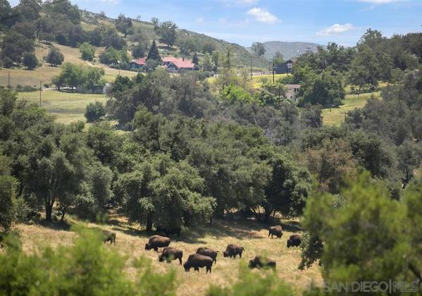 28428 Highway 78, Santa Ysabel, California, United States 92070, 3 Bedrooms Bedrooms, ,For sale,Highway 78,200036378