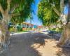 589 Johnson Ave, El Cajon, California, United States 92020, 2 Bedrooms Bedrooms, ,For sale,Johnson Ave,200036504