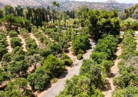 7280 Via Mariposa Norte, Bonsall, California, United States 92003, 3 Bedrooms Bedrooms, ,1 BathroomBathrooms,For sale,Via Mariposa Norte,200037566