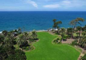 929 Border Avenue, Del Mar, California, United States 92014, ,For sale,Border Avenue,71064797