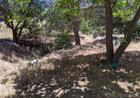 Gully running through the property.